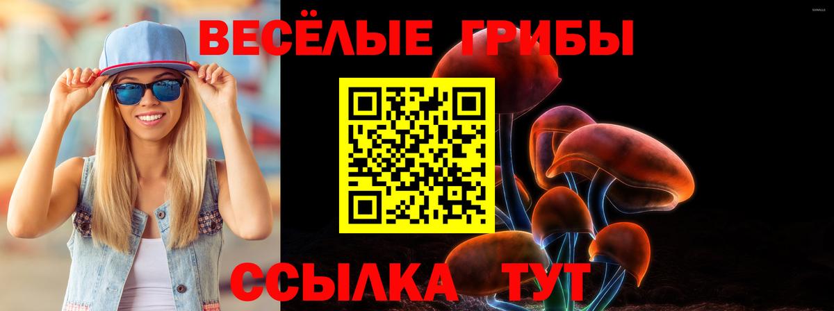 Галлюциногенные грибы Cubensis Кыштым